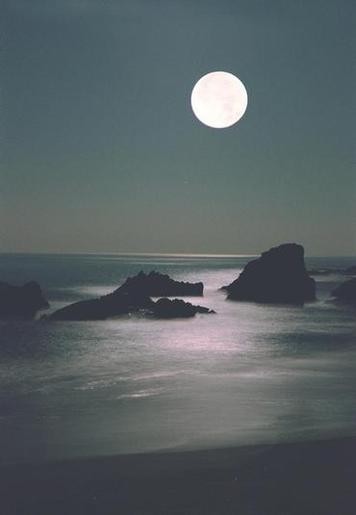 LUNA 2.jpg